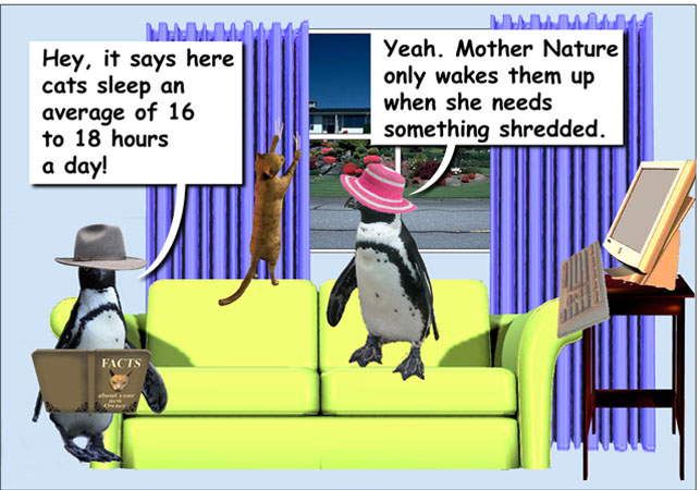 panel_4