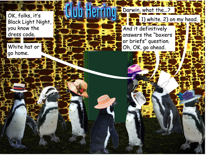 panel_1
